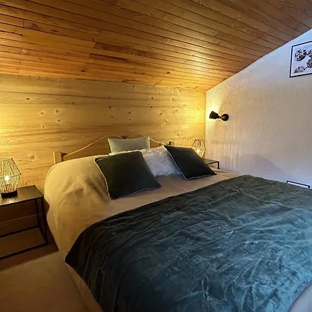 Duplex Skis Aux Pieds Avec Bureau, Wifi Et Tv Grand Ecran - Fr-1-355-252 Apartment *